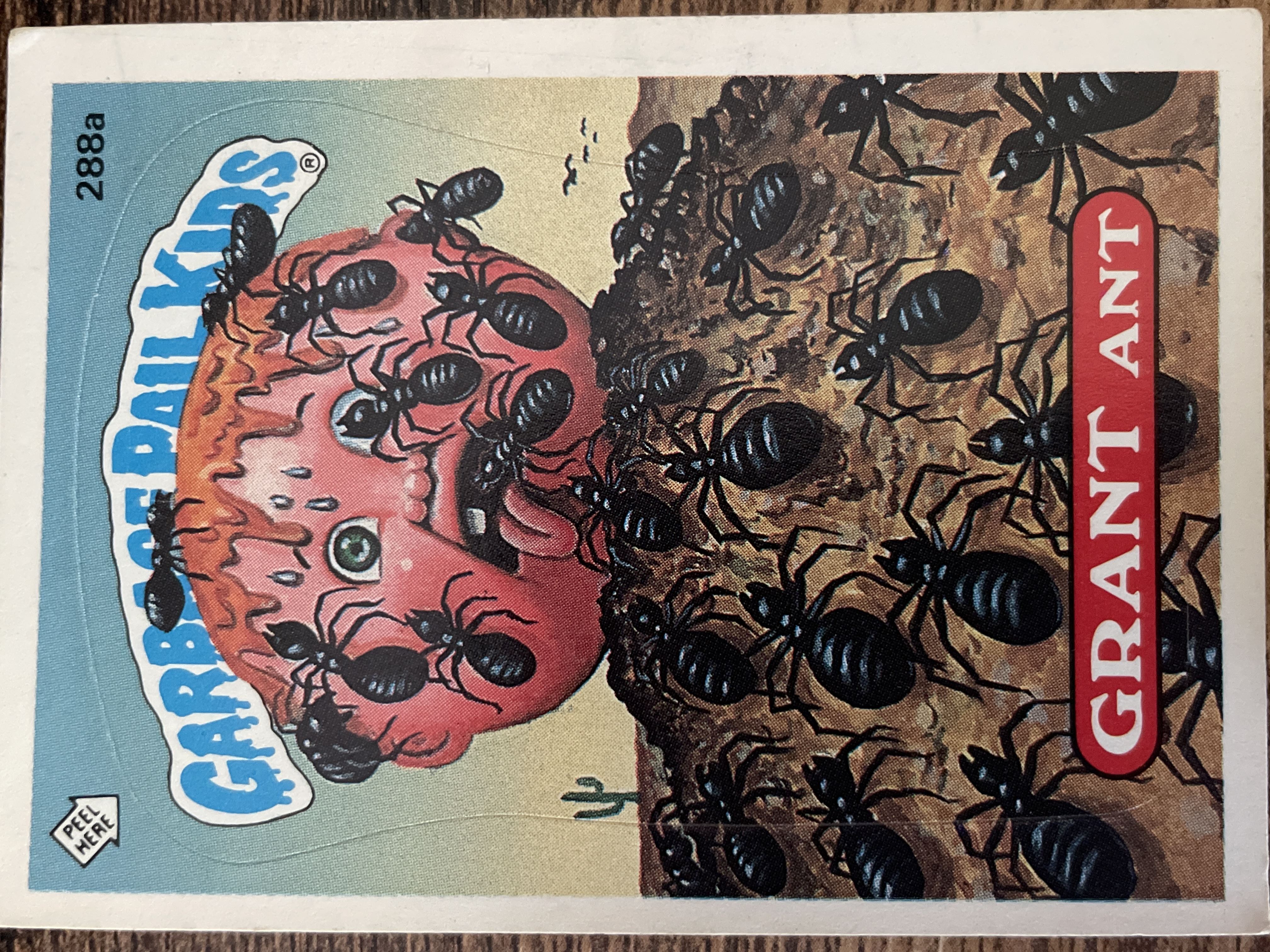 Grant Ant #288a