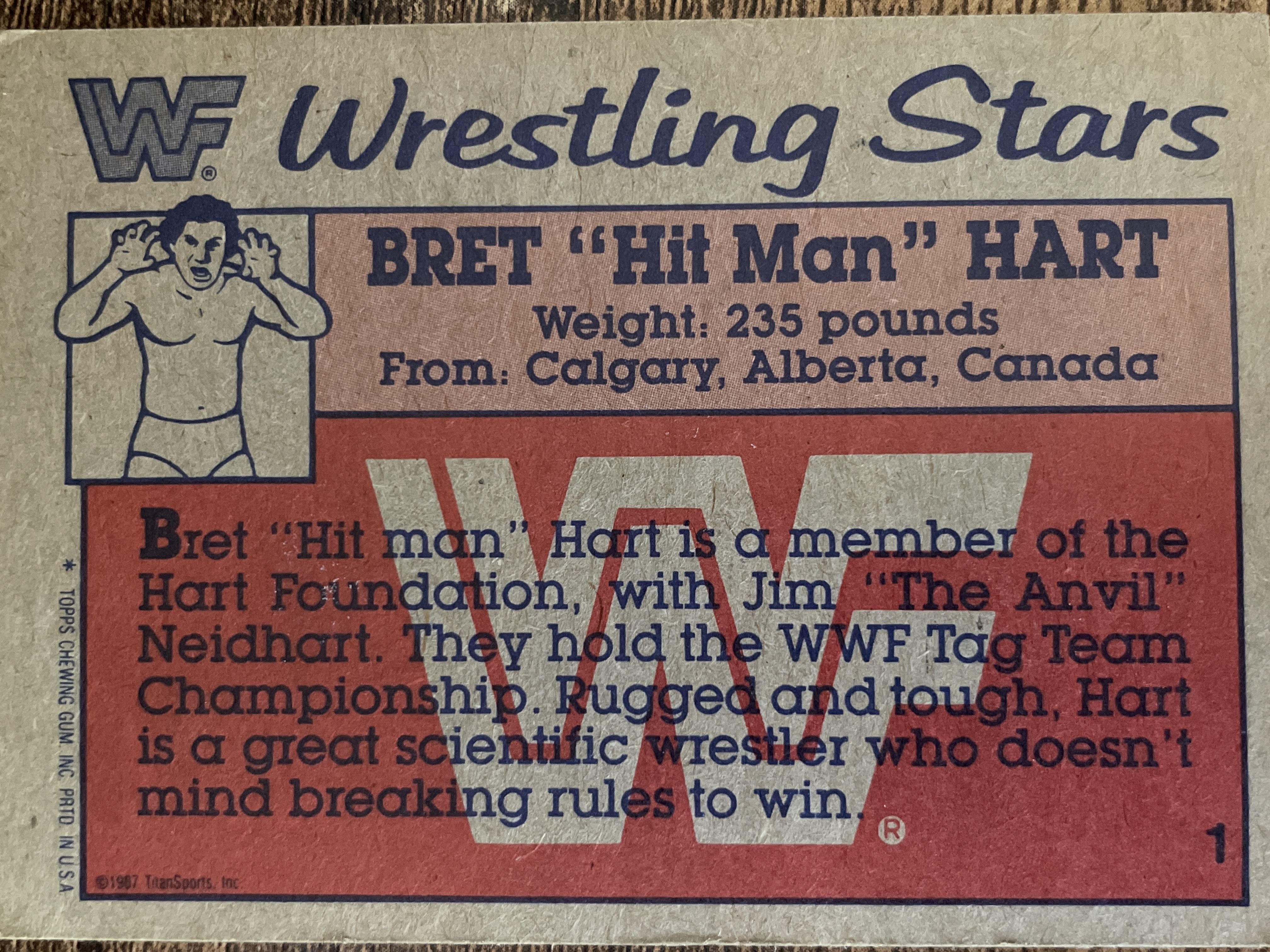 Bret “Hit Man” Hart #1