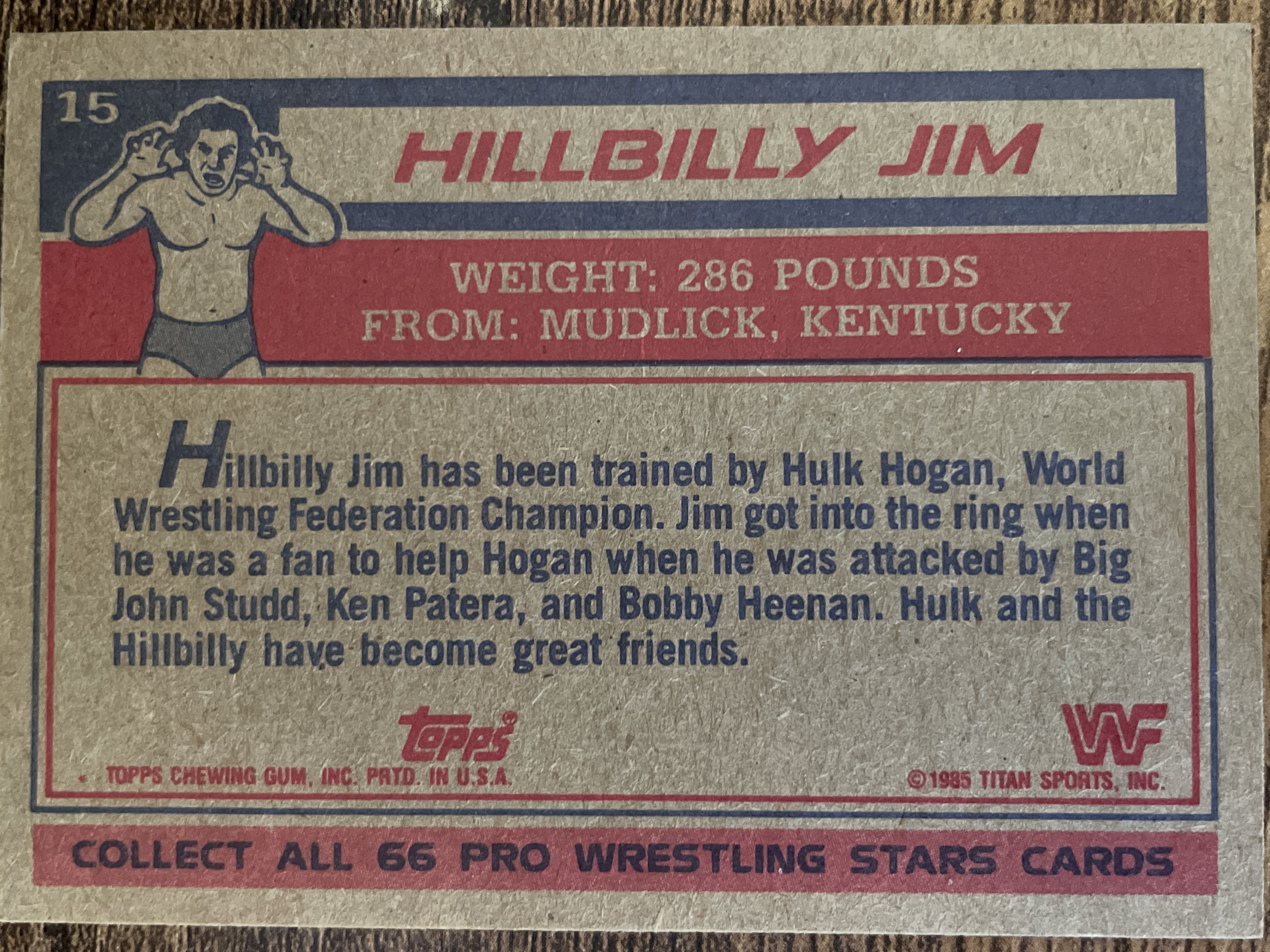 Hillbilly Jim #15