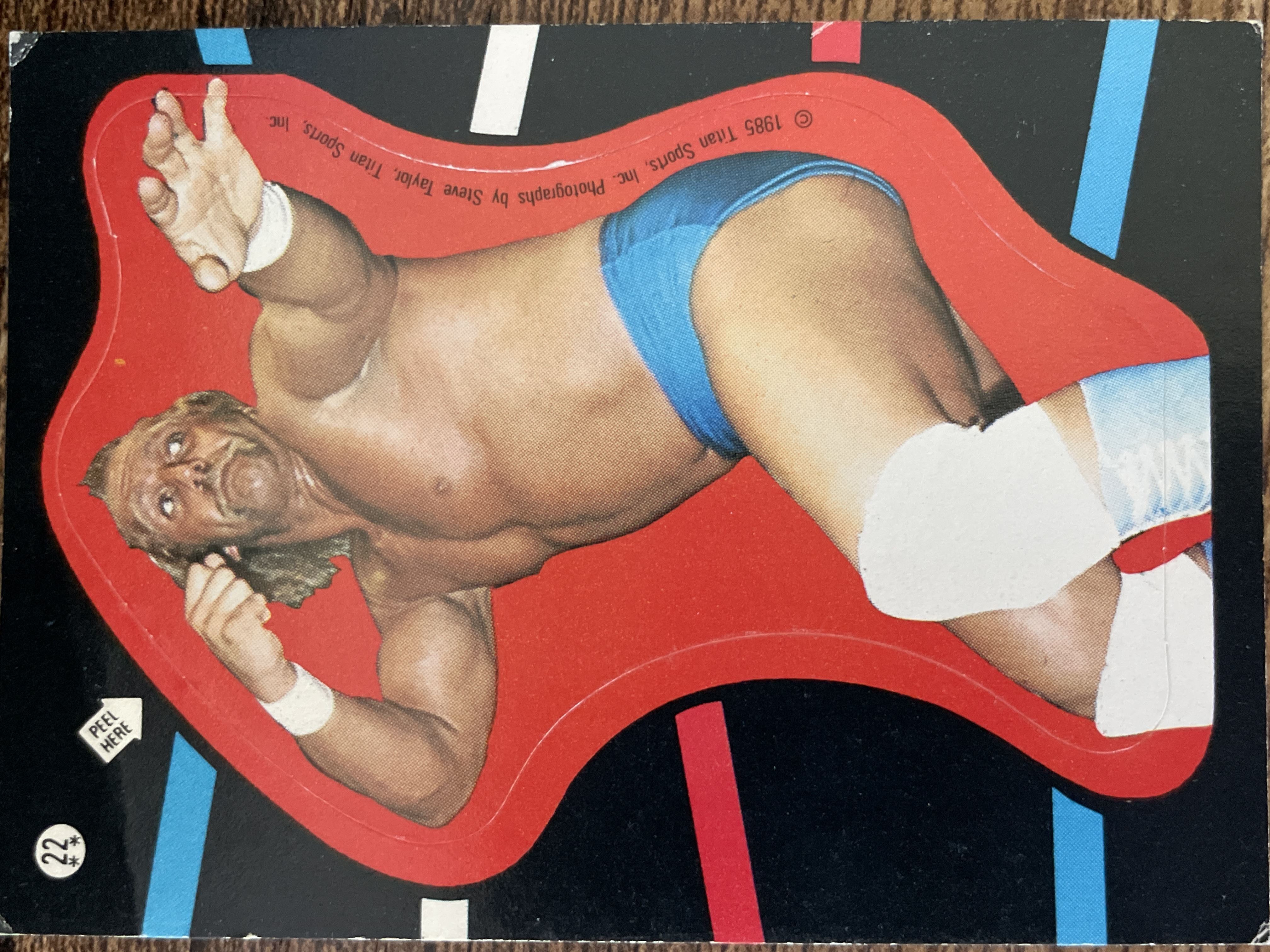 Hulk Hogan #22