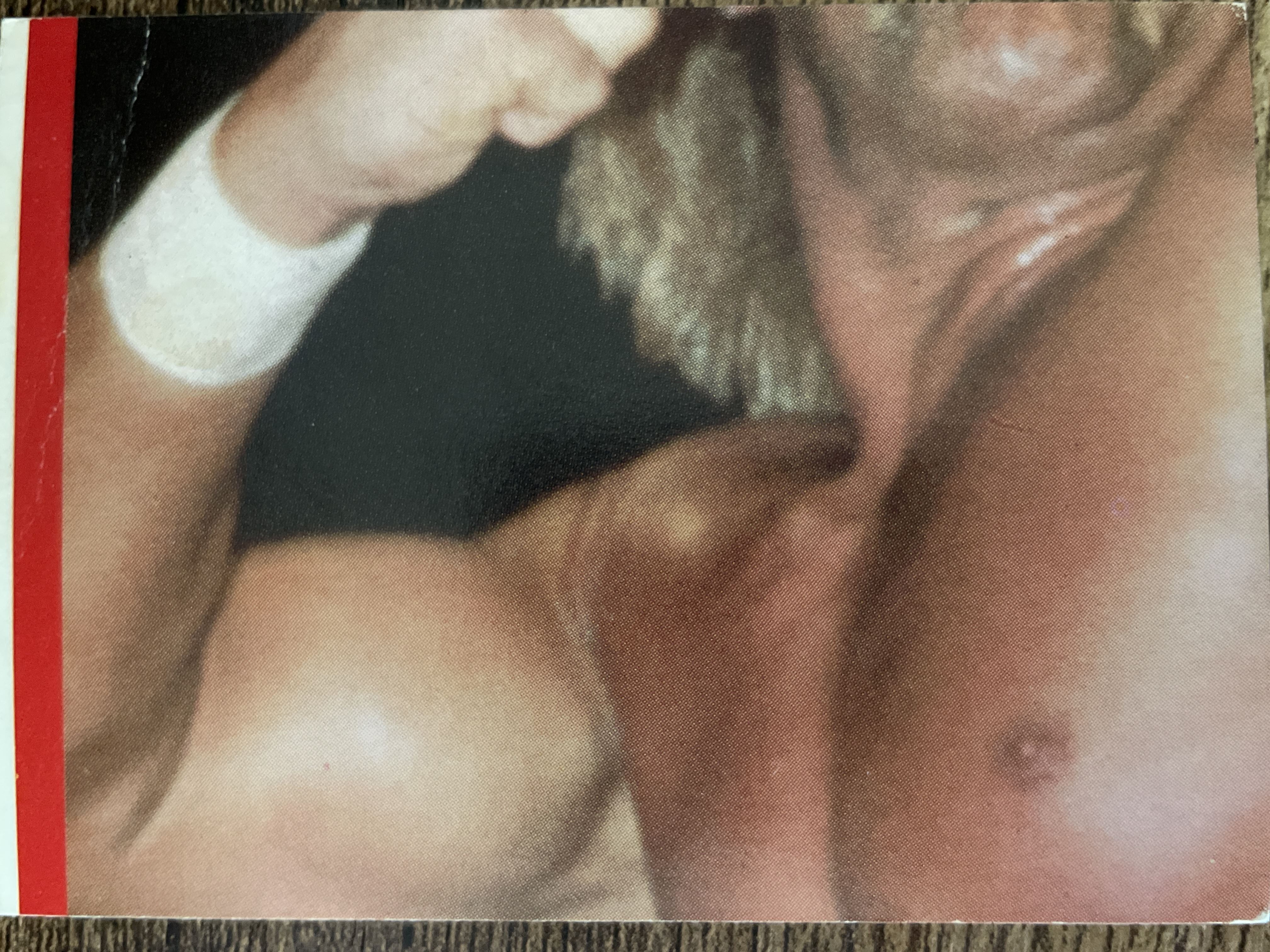 Hulk Hogan #22