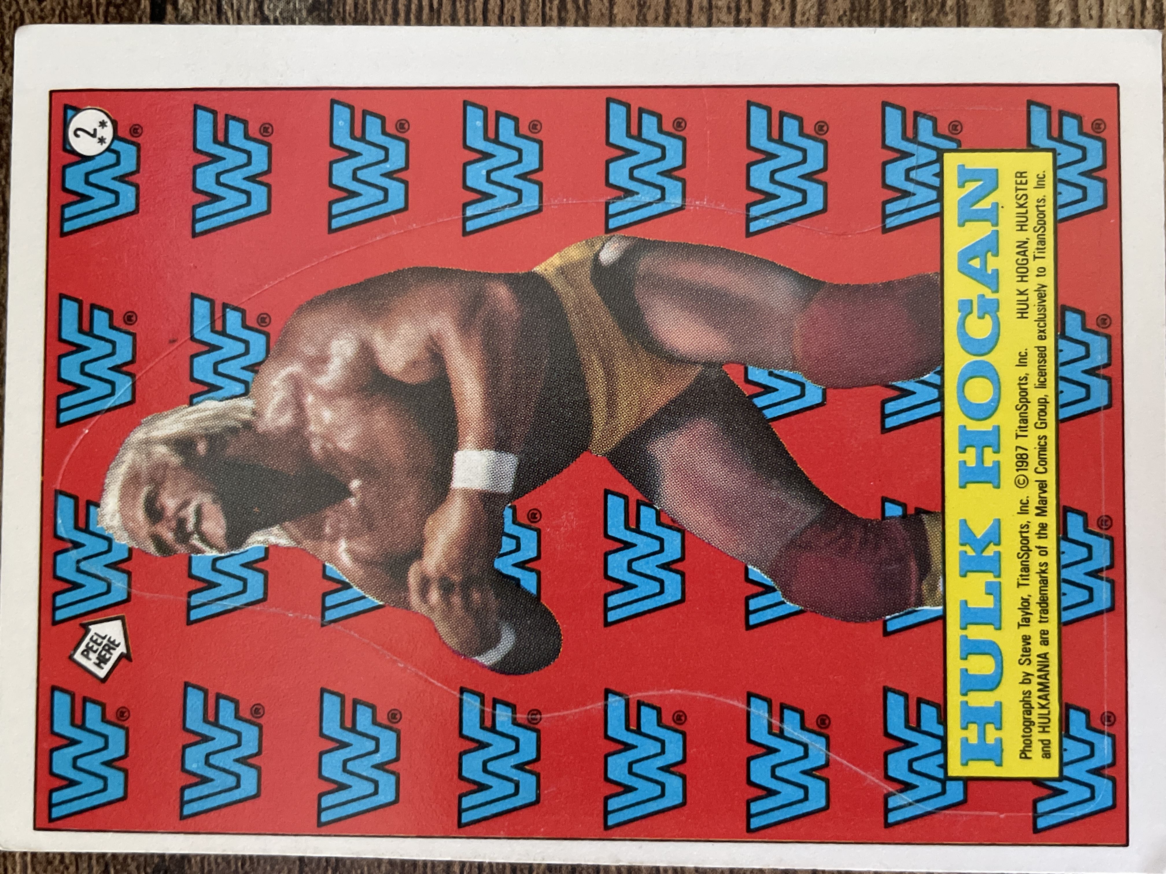 Hulk Hogan #2