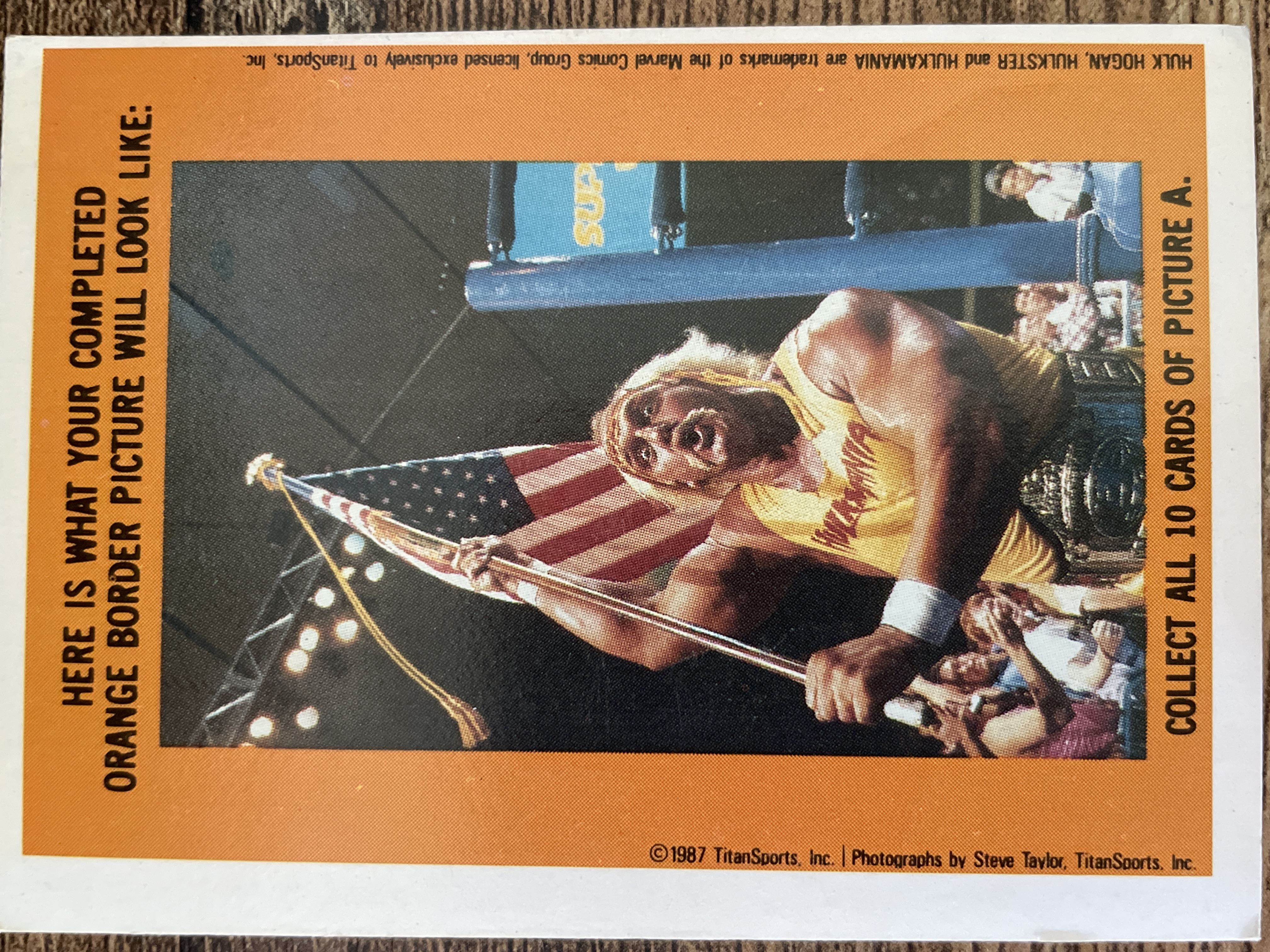 Hulk Hogan #2