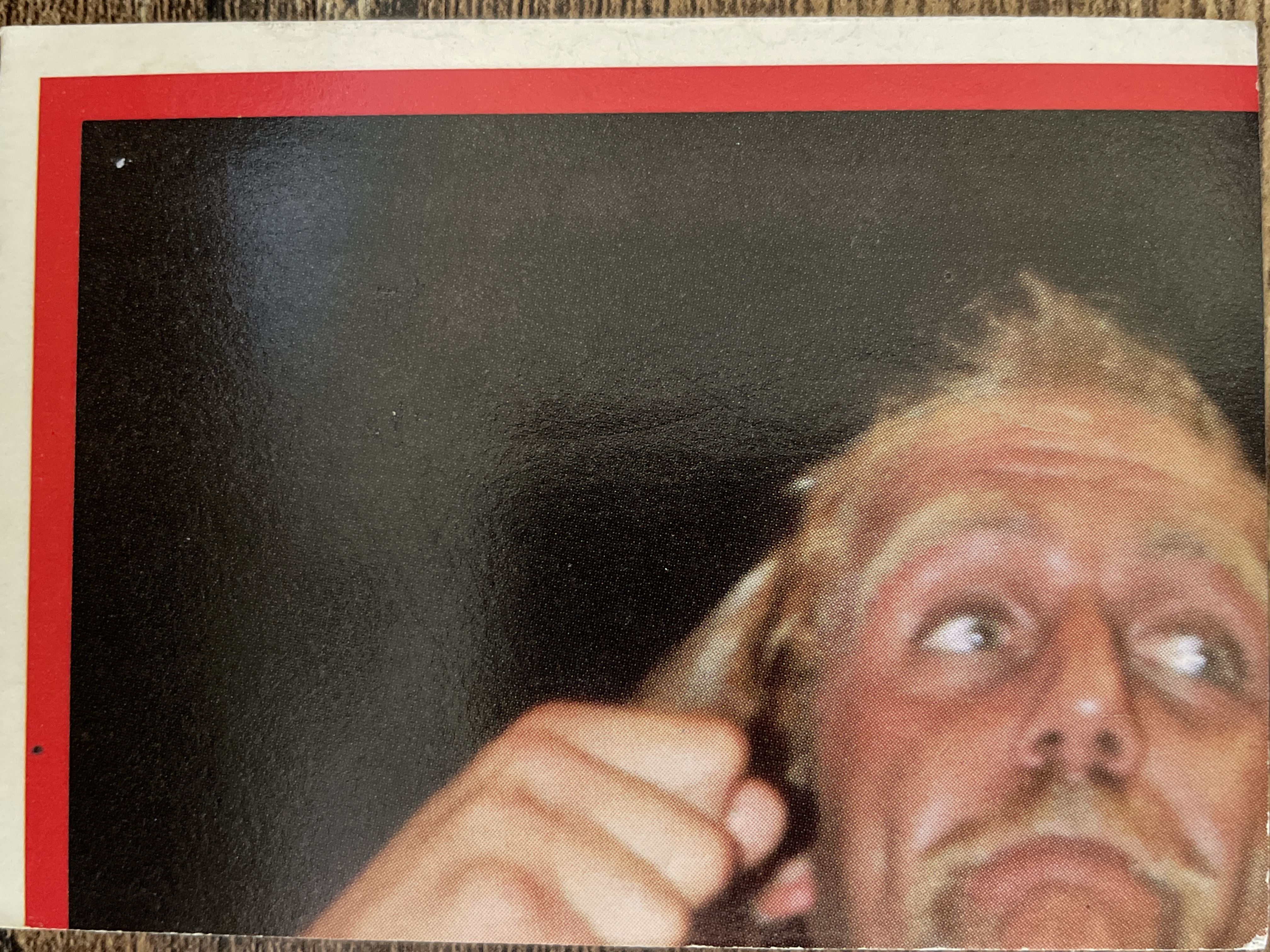 Hulk Hogan #9