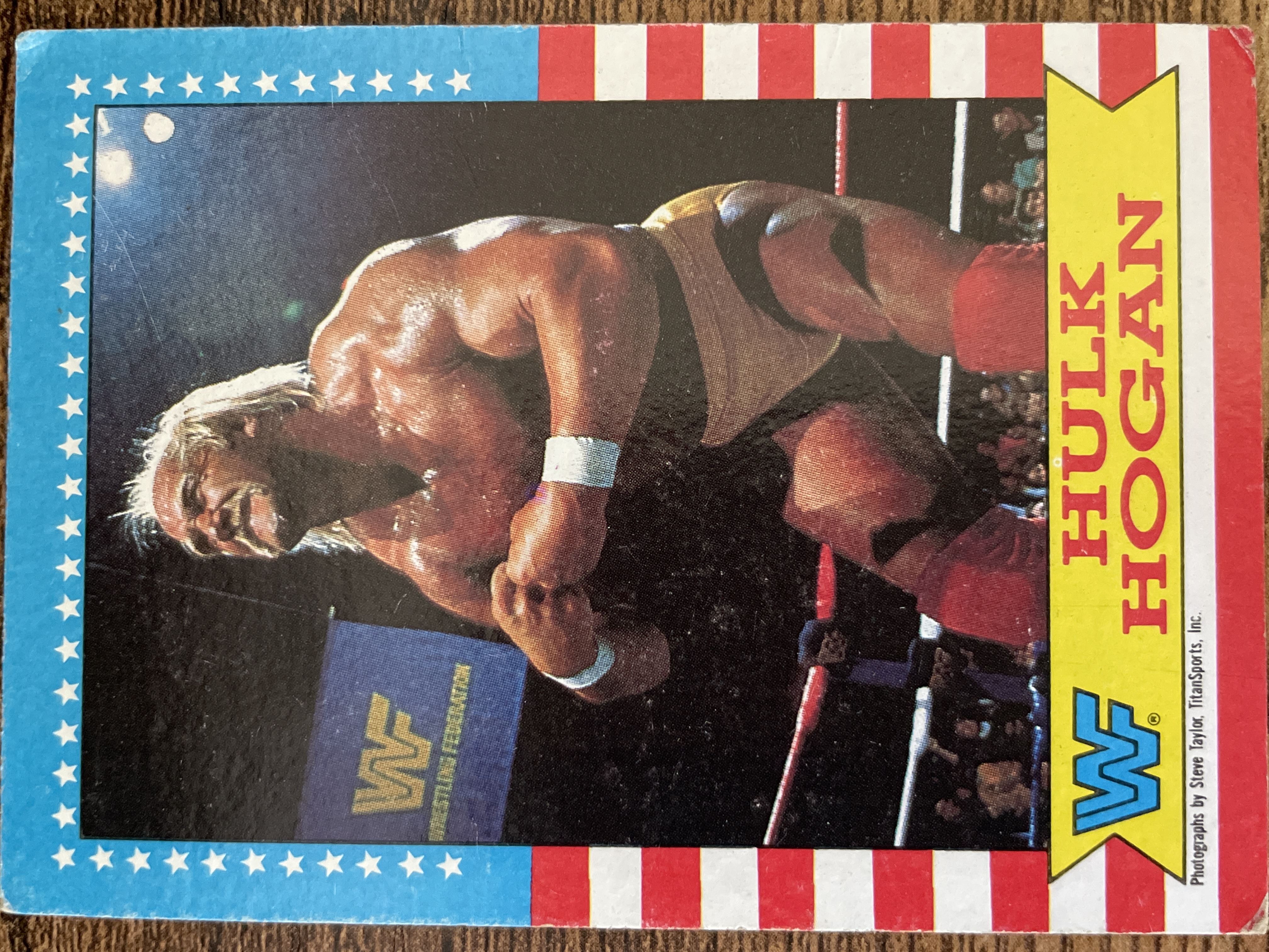 Hulk Hogan #3