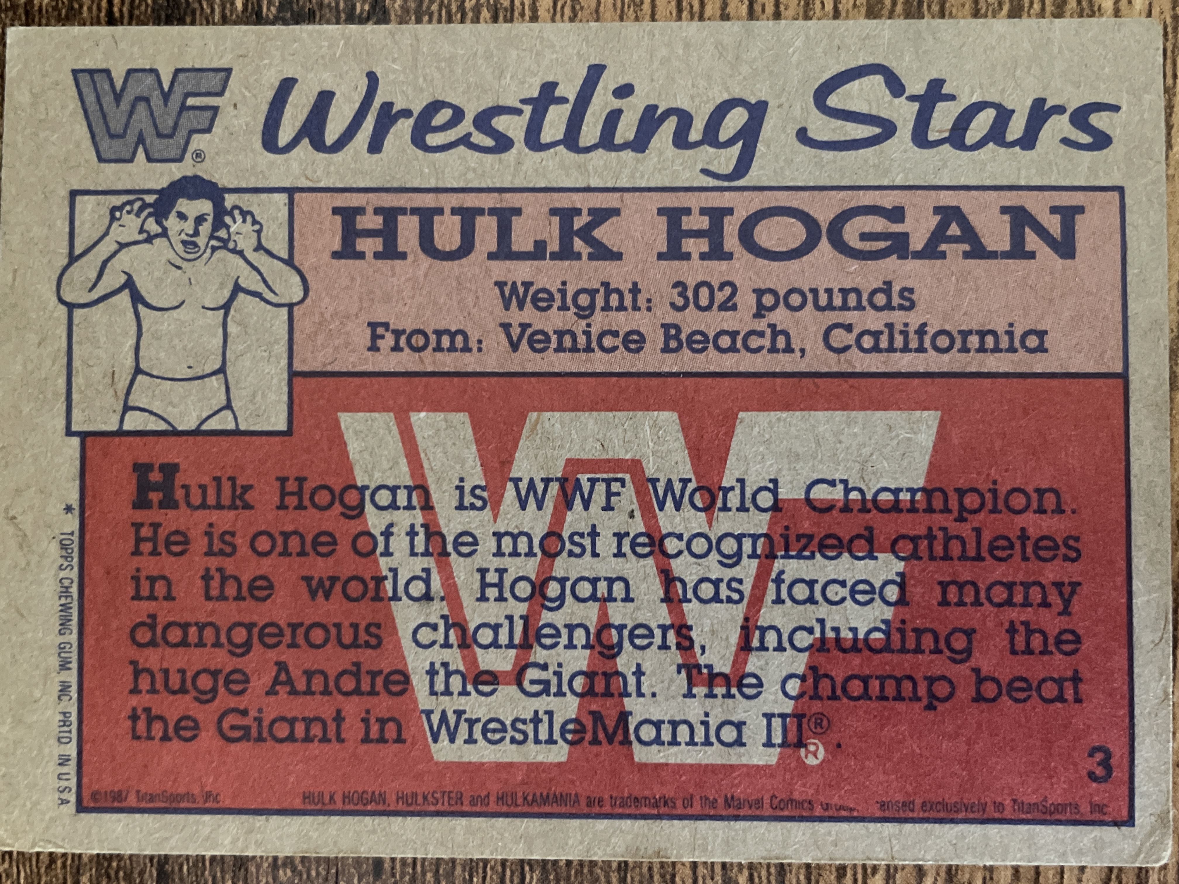 Hulk Hogan #3