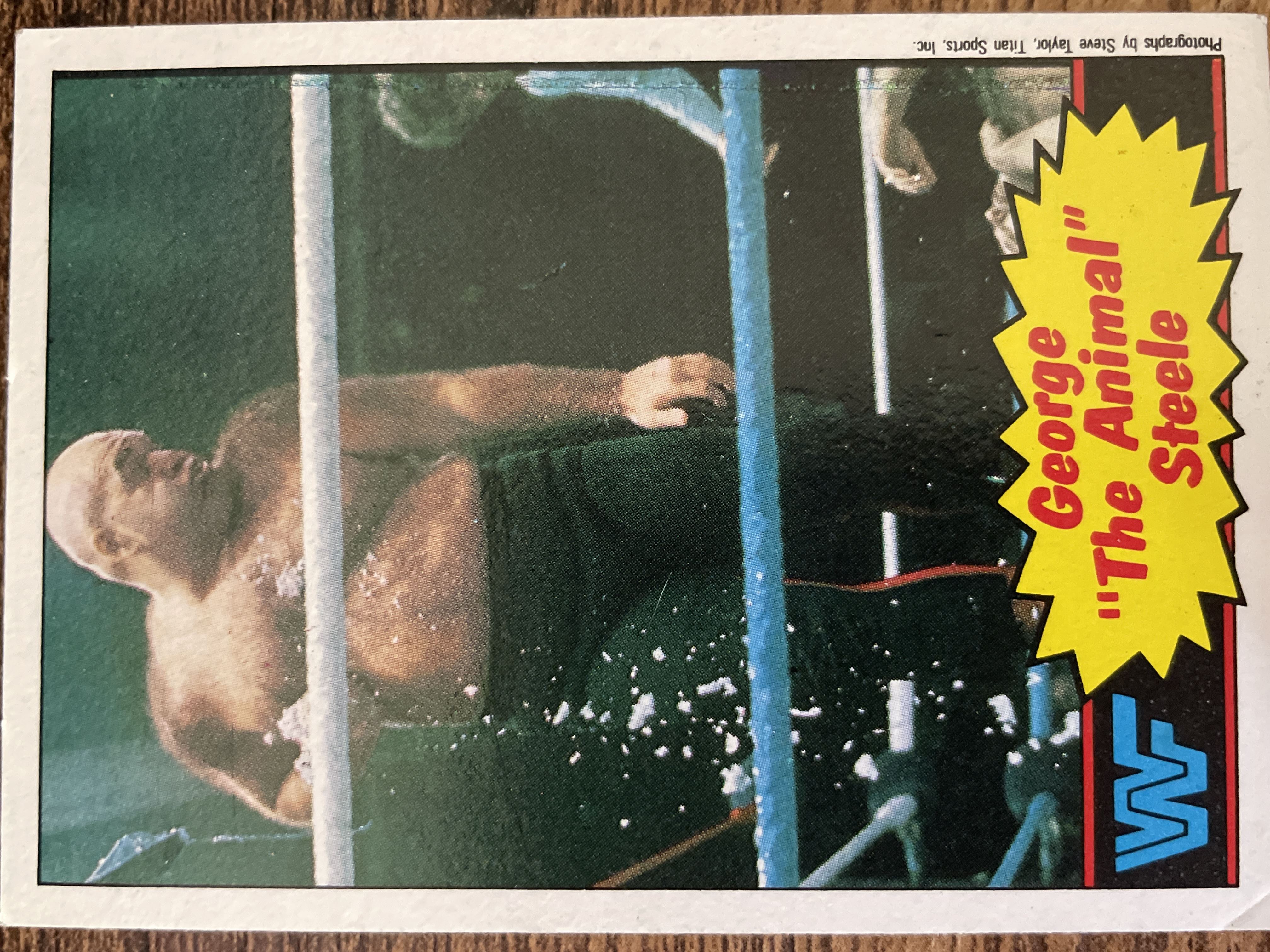 George “The Animal” Steele #21