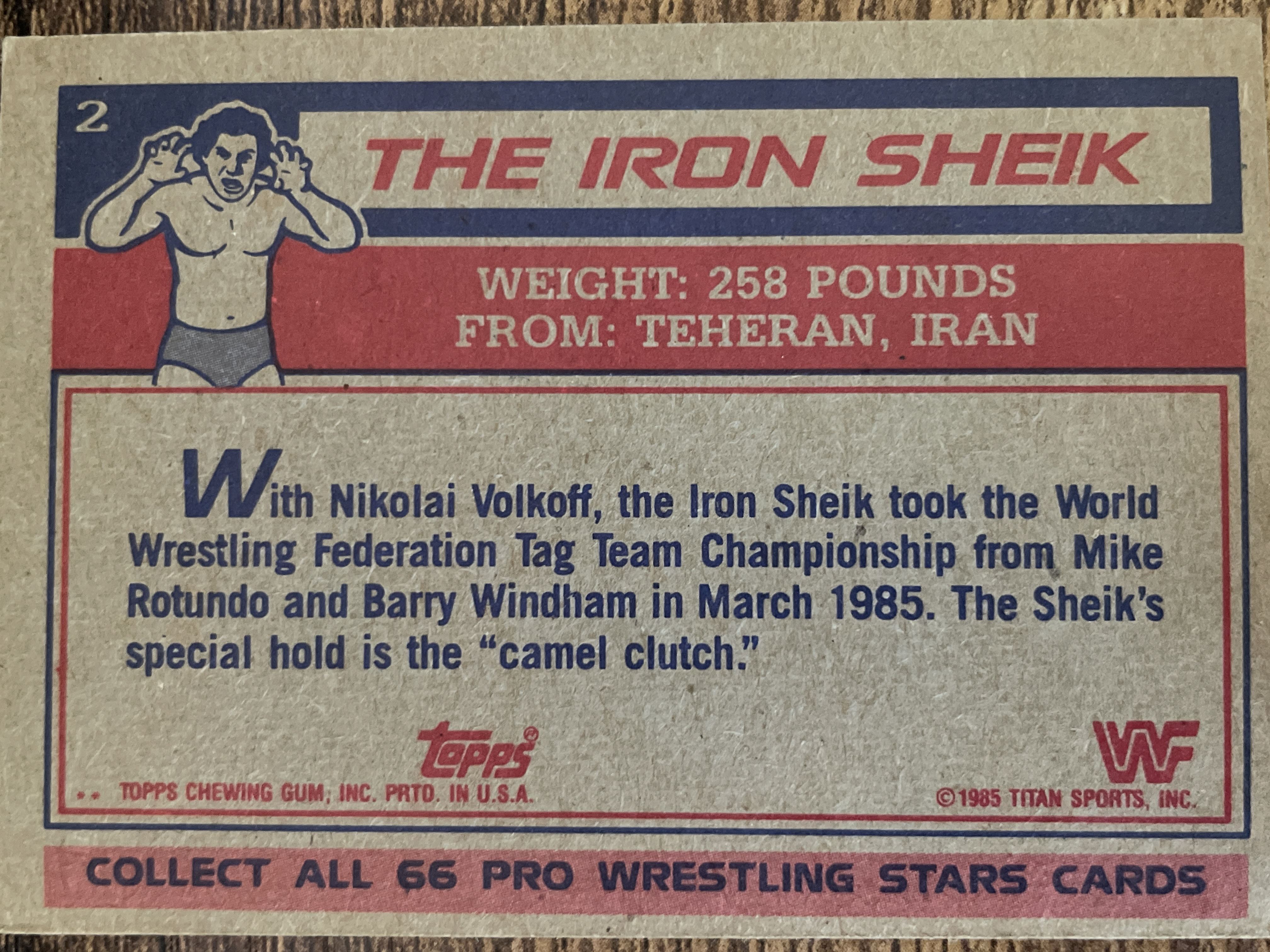 The Iron Sheik #2
