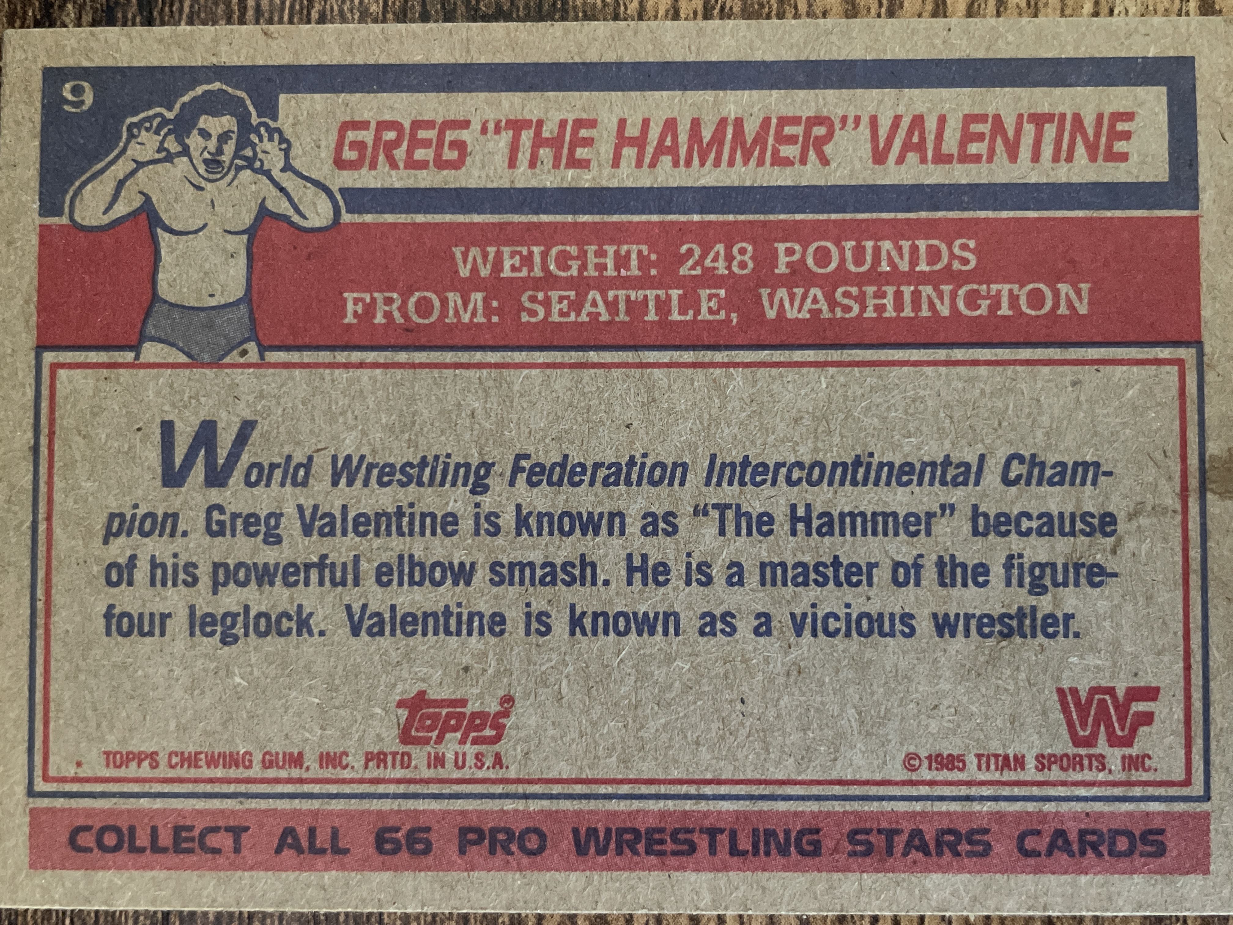 Greg “The Hammer” Valentine #9